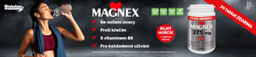 Banner - Magnex